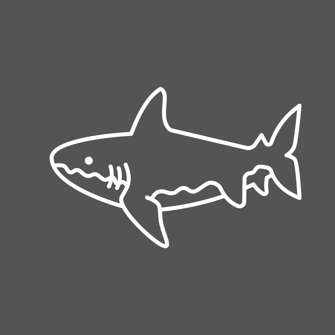 shark Pattern